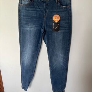 Dark Wash Mid Rise Jeans with Faded Detail